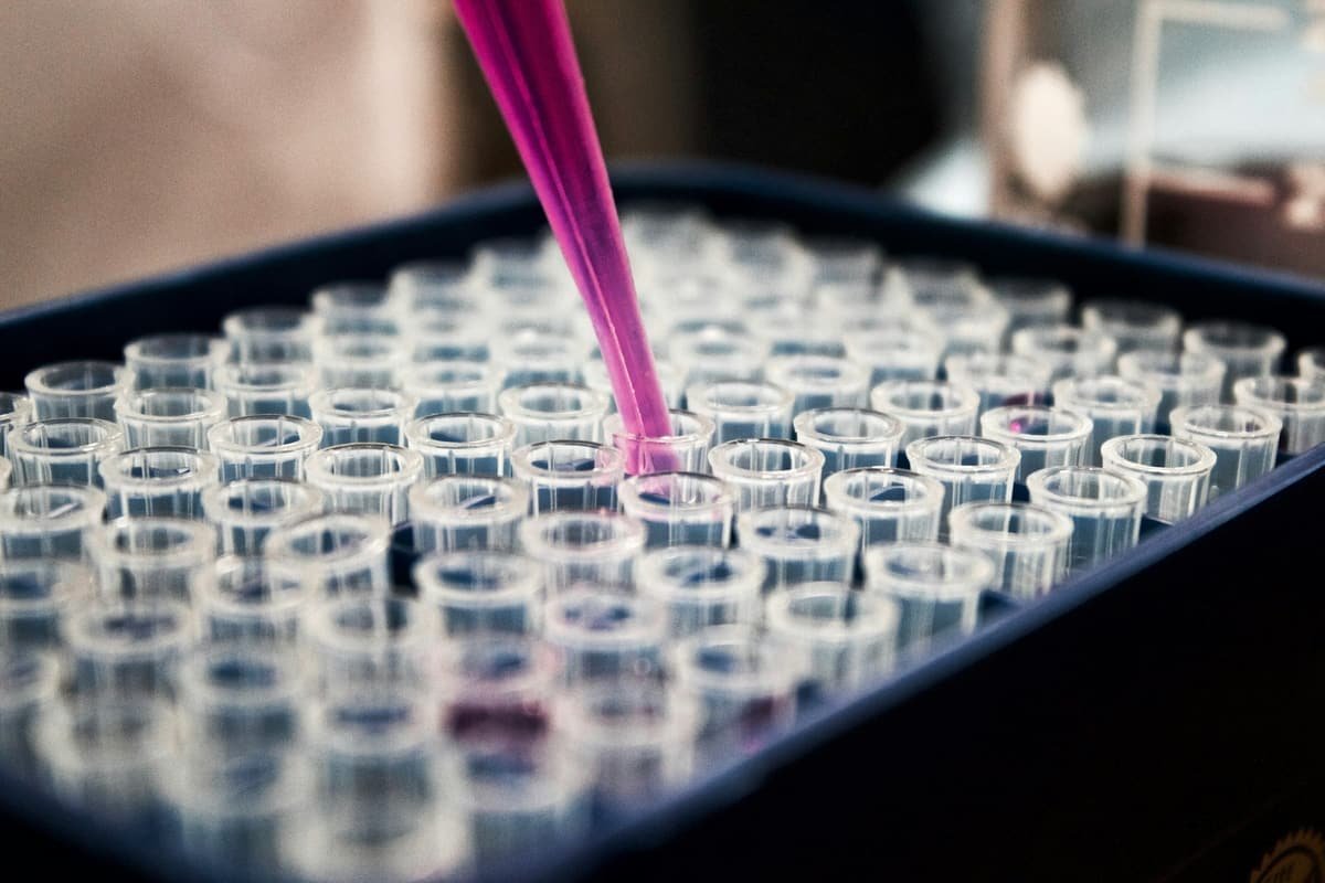 Lab samples being processed